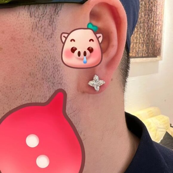 Louis Vuitton Crystal Silver Earrings - Picture 6 of 6